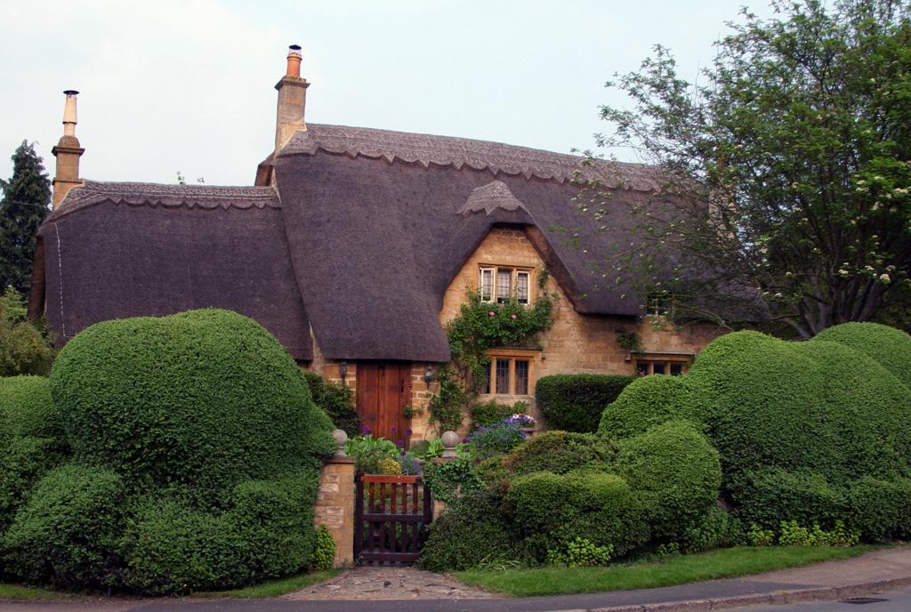 Thatched Roof