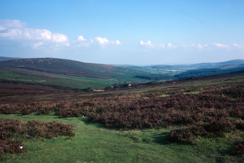 The Moors