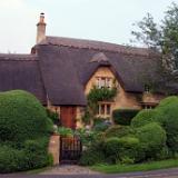 Thatched Roof