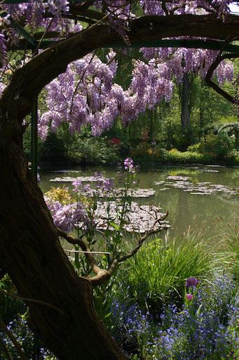 11 Monet's Garden