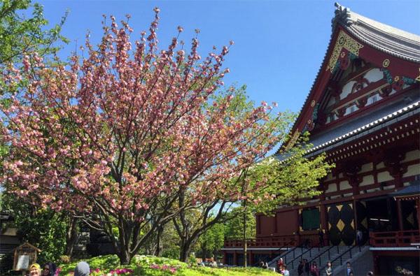 Asakusa