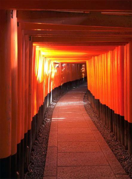 Torii Gates