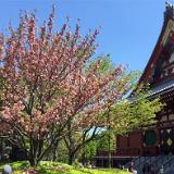 Asakusa