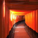 Torii Gates